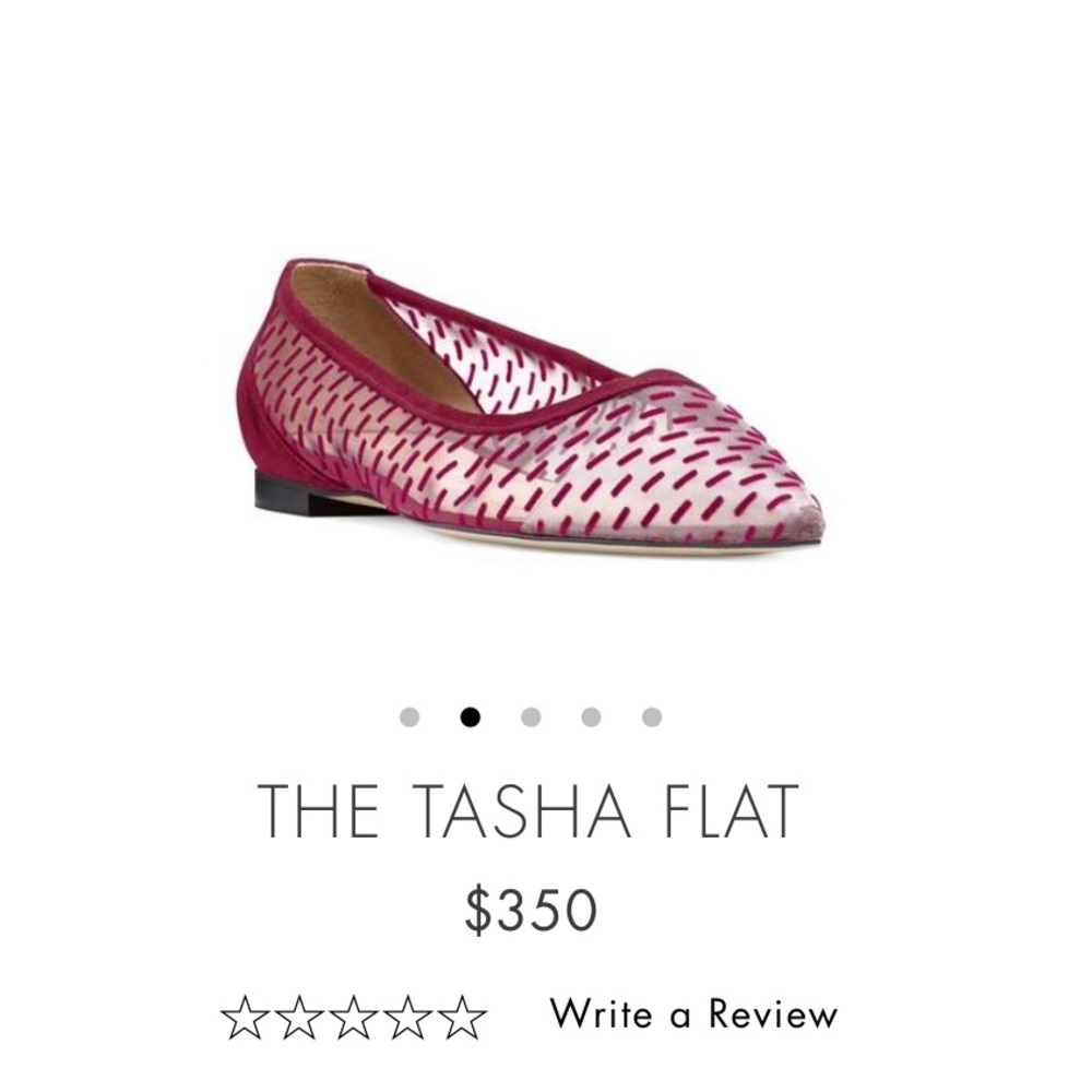 The Tasha Flat Stuart Weitzman Mesh Pointed - Picture 6 of 8